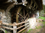 2015_05_01-03_MCL_Schwarzwald