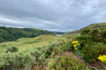 20230723-0806_Schottland